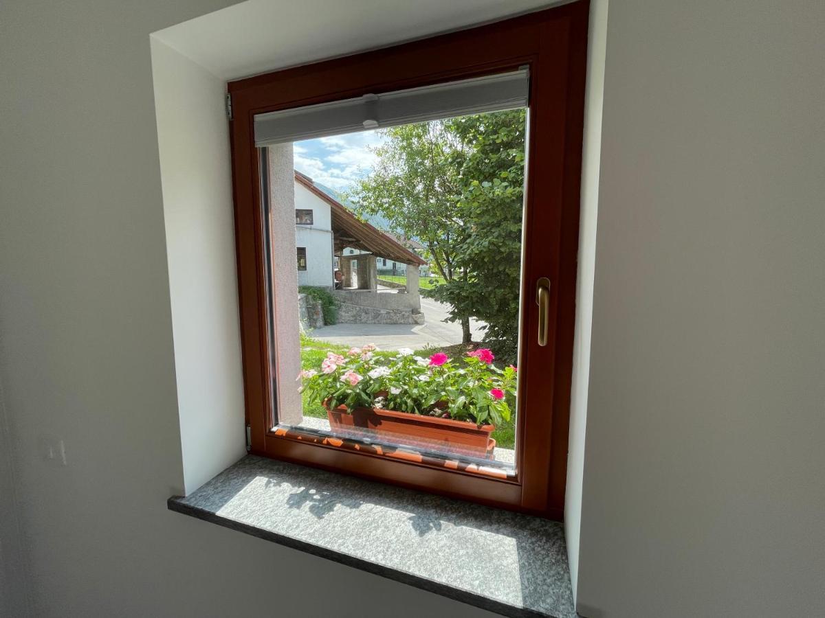 Apartma 7 - In The Heart Of Soca Valley Tolmin Exteriér fotografie